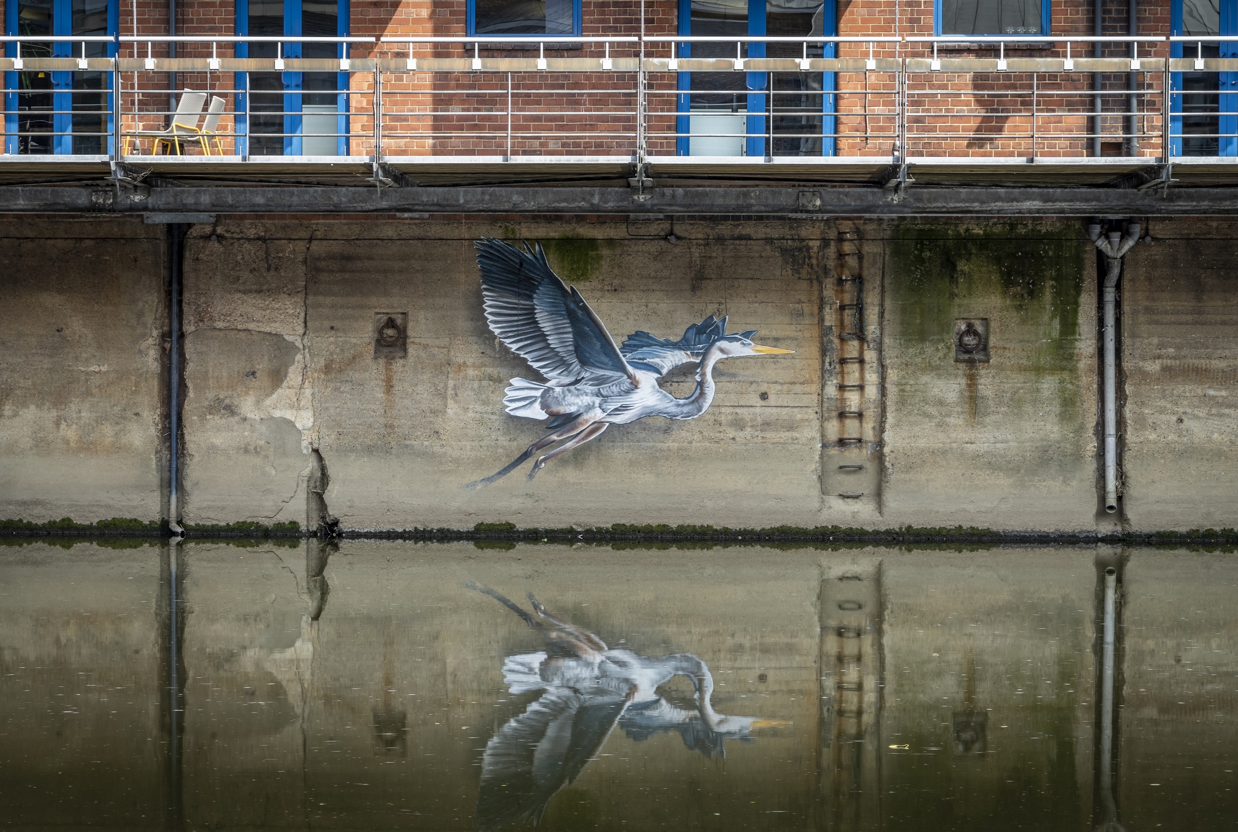 Grey Heron mural