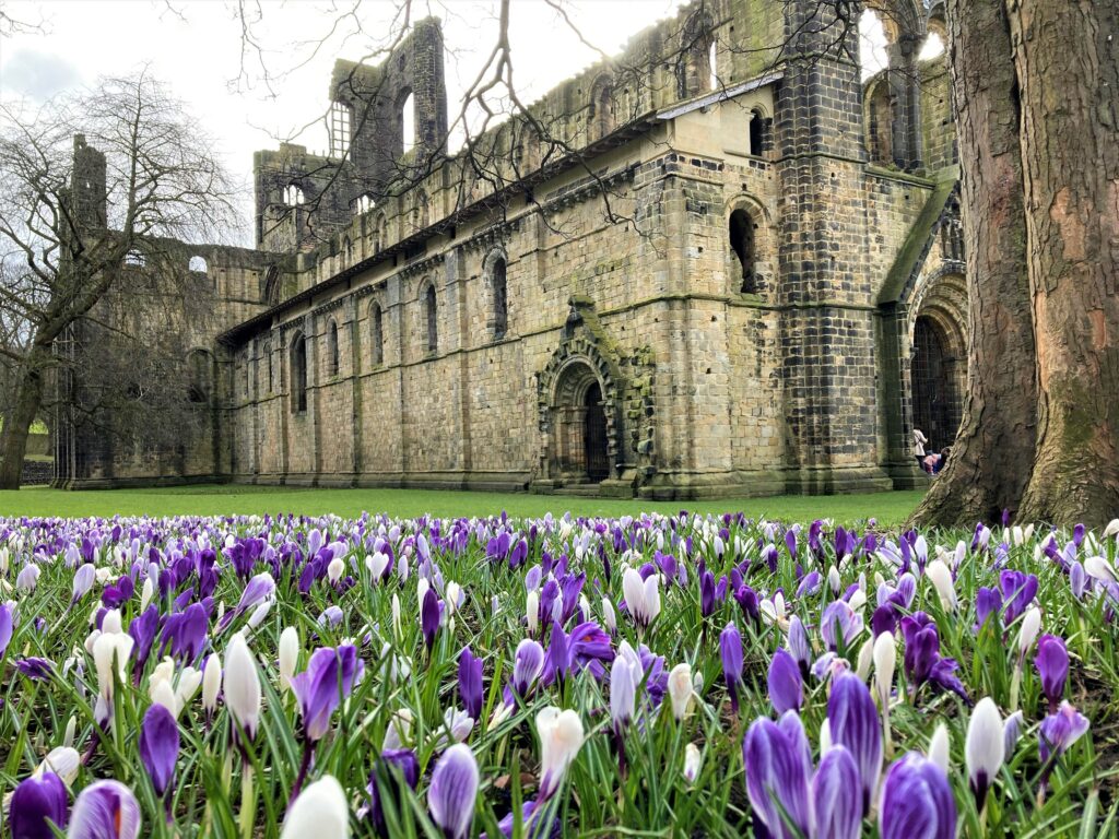 Kirkstall Abbey - Credit Megan, Leeds Museums and Galleries edit