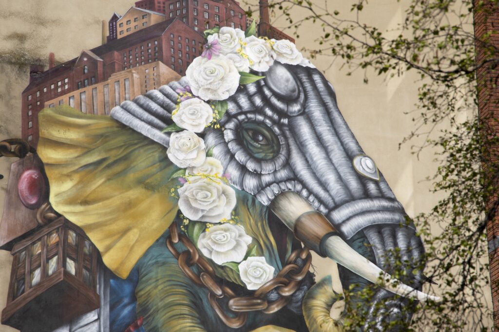 Winifred by Qubek - Carl Milner Photography for Visit Leeds 