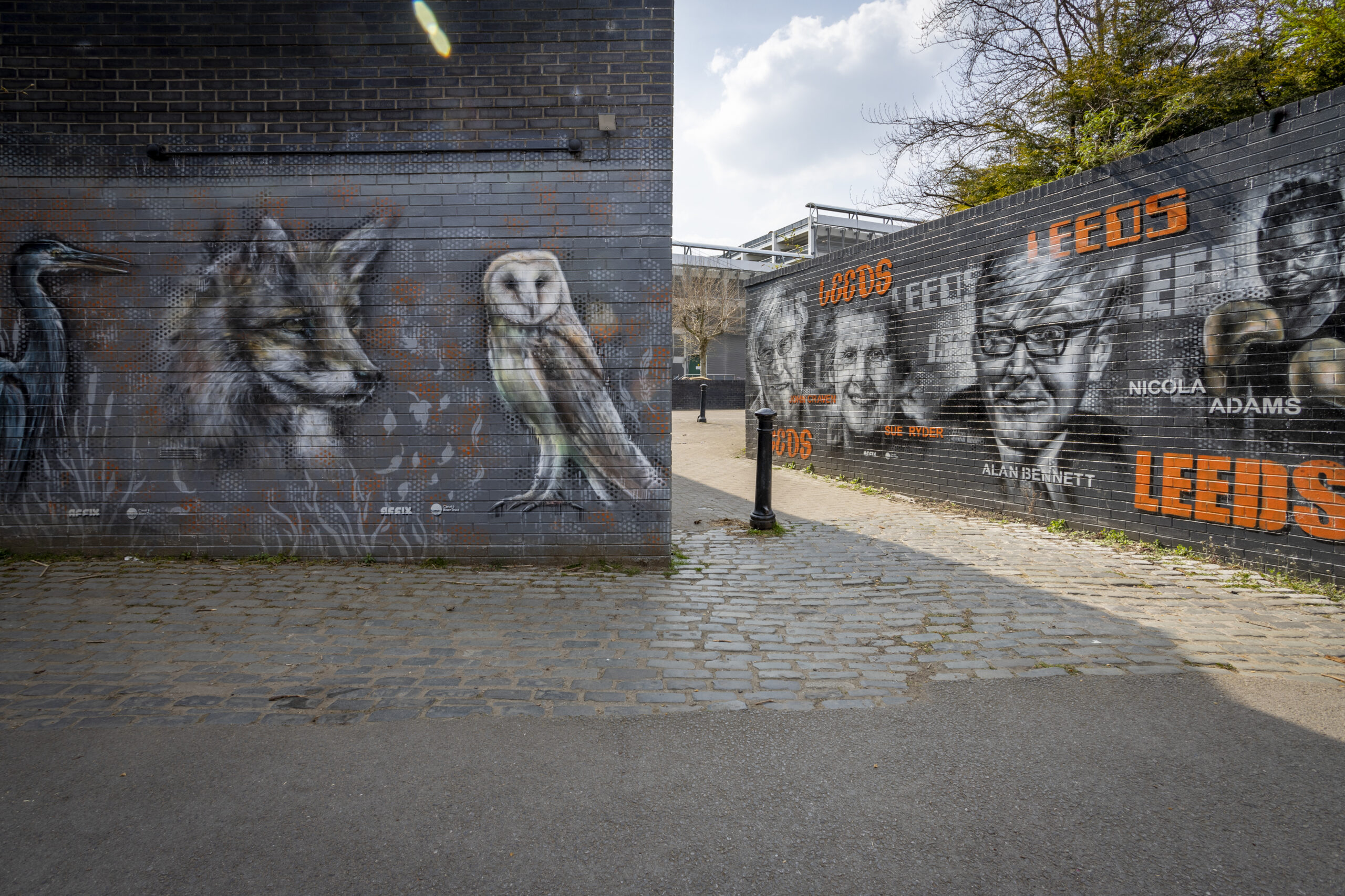 Street art photograph of an owl and on wolf on a wall