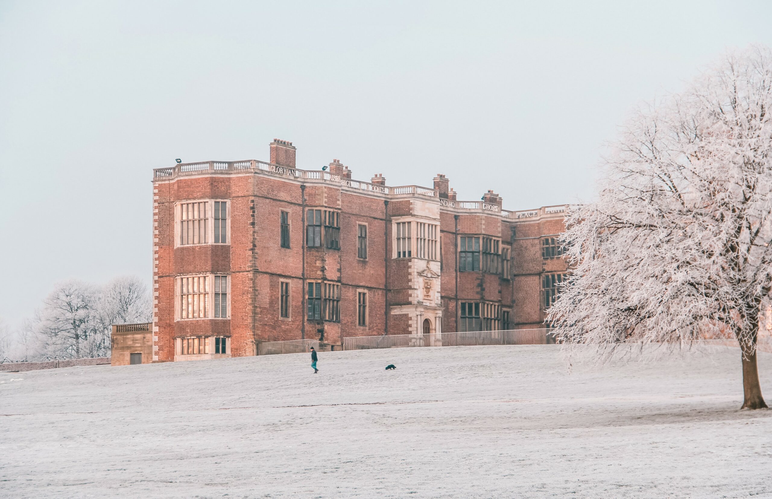 A snow covered tree and grass in front of Temple Newsam House