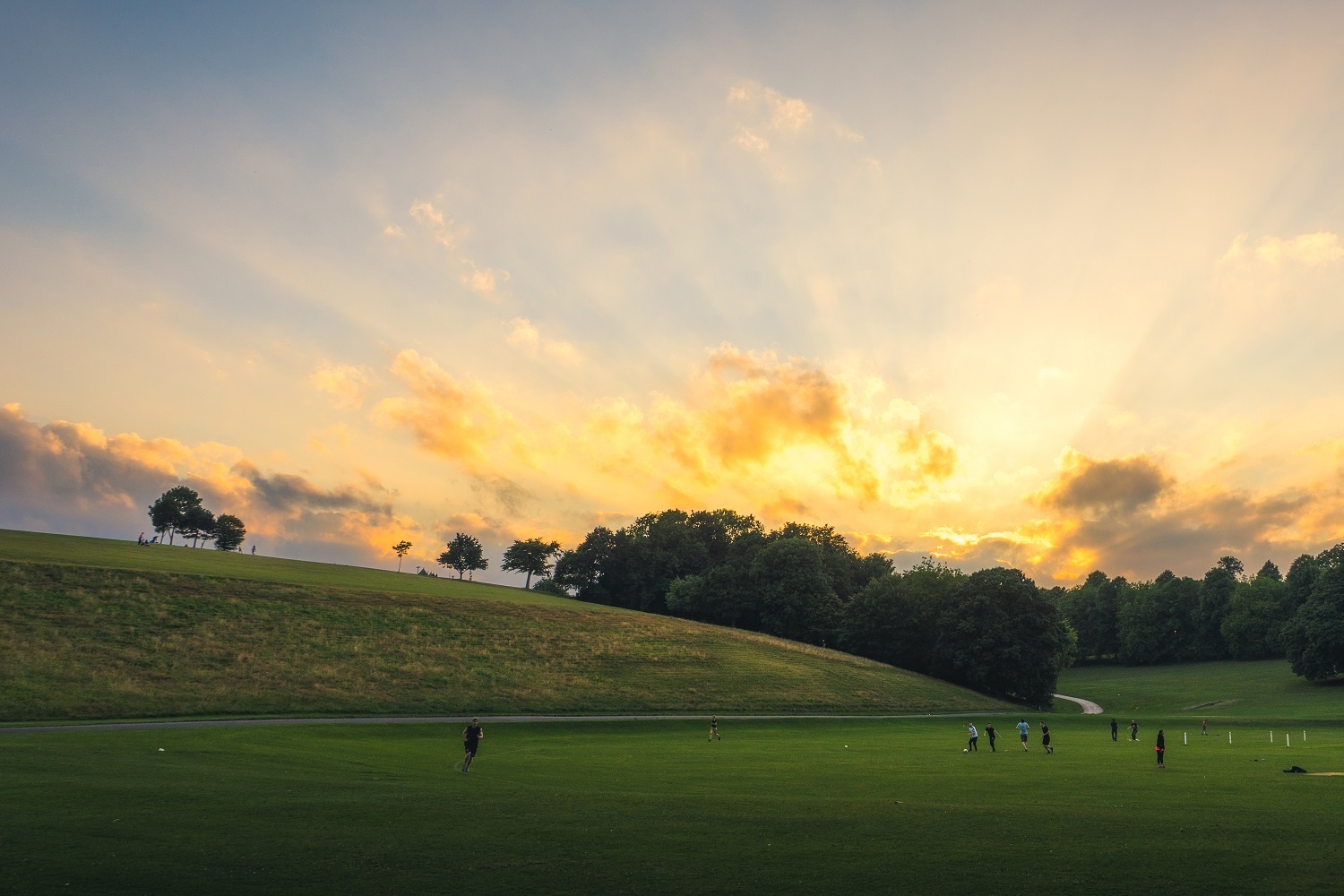 Picture of sunset over the hills of Roundhay Park in Leeds