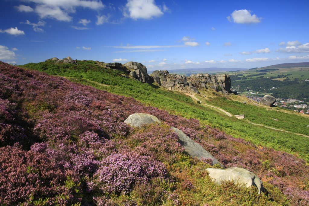 A view from Ilkey Moor across rocky outcrops and heather, the sky is blue and it's sunny.