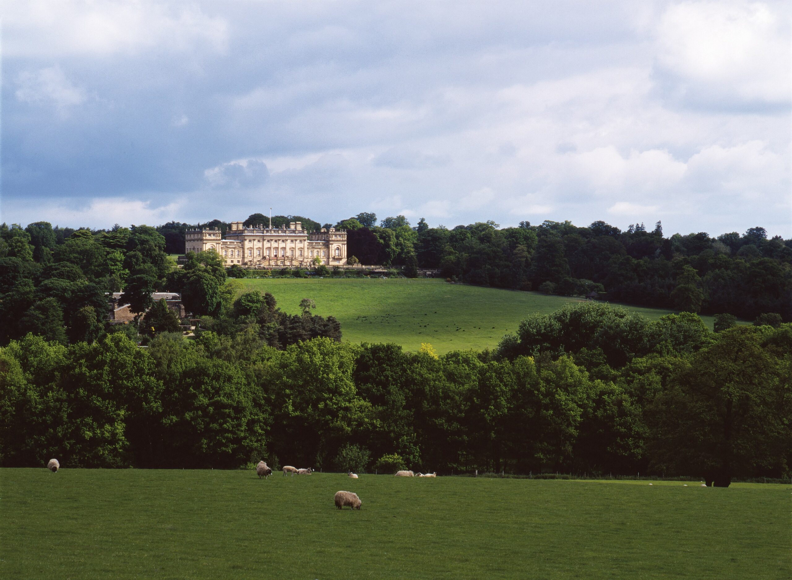 Views of the landscape at Harewood House