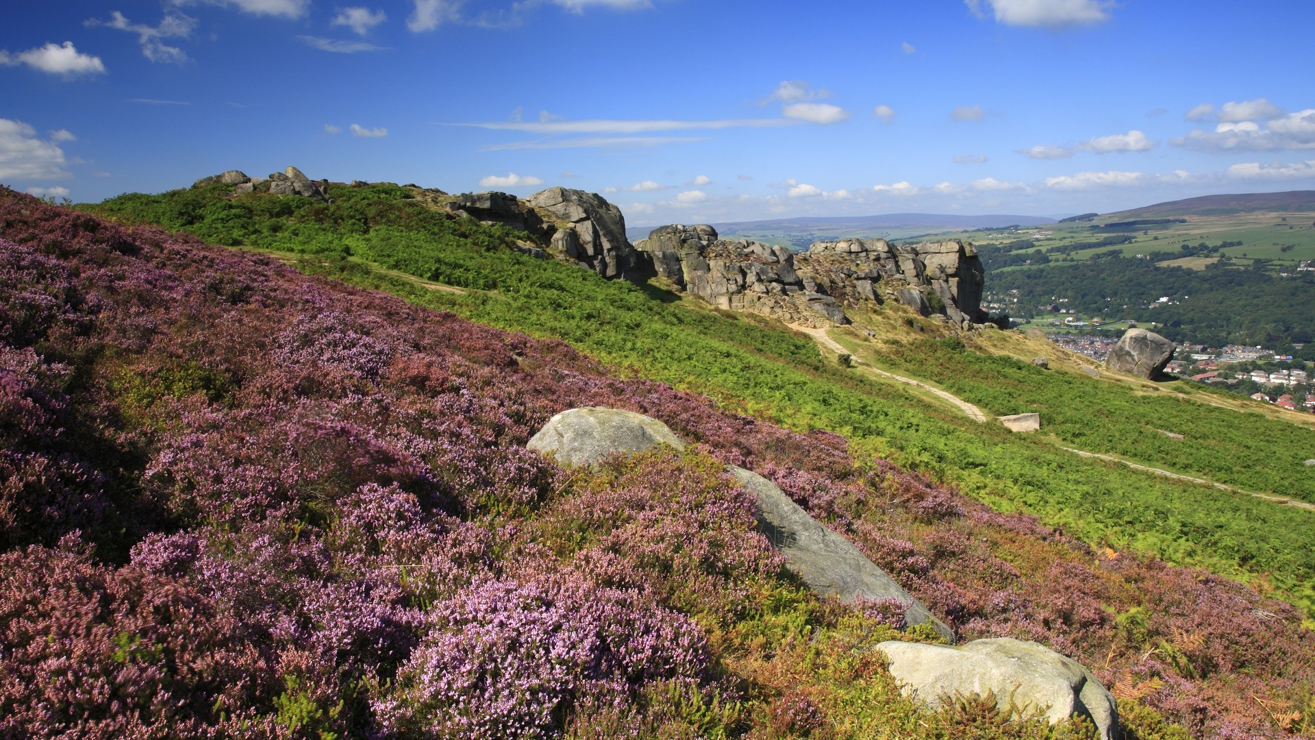 A view from Ilkey Moor across rocky outcrops and heather, the sky is blue and it's sunny.