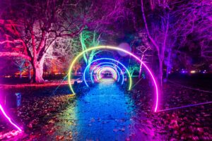 Northern Lights Leeds Teaser Tom Martin Photography, take at our Cardiff Light trail (Christmas at Bute Park, 2021).
