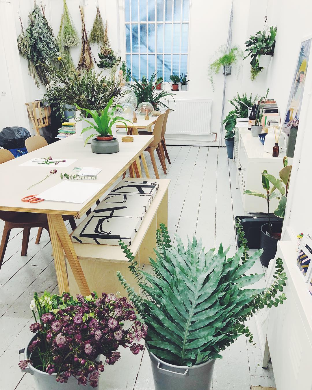 The Plant Room Studio and Shop