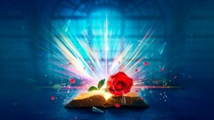 an open book with a red rose placed on top
