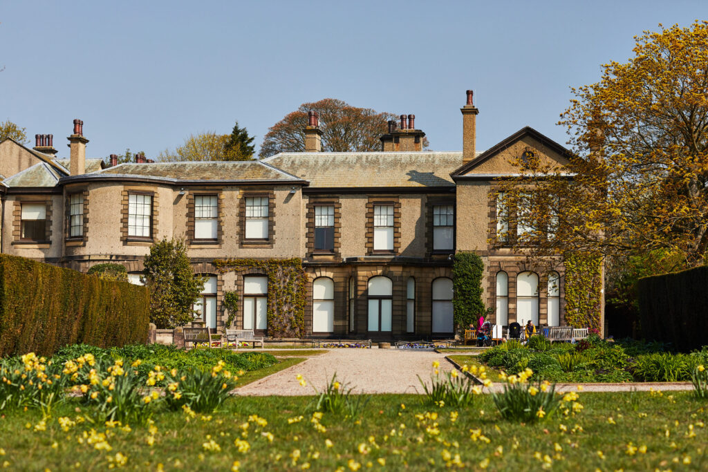 a large historic house with ivy growing up the sides of the building and a field of daffodils in the foreground