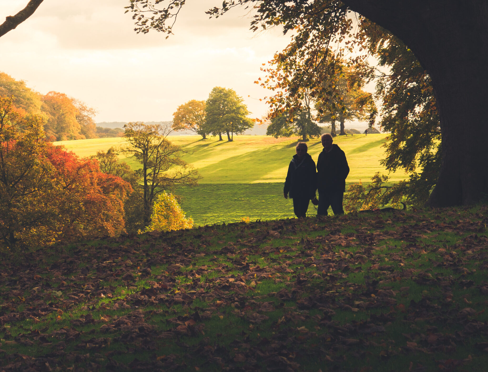 a couple walking through an autumnal park