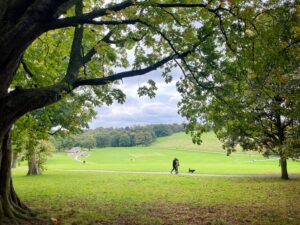 People walking through a green park