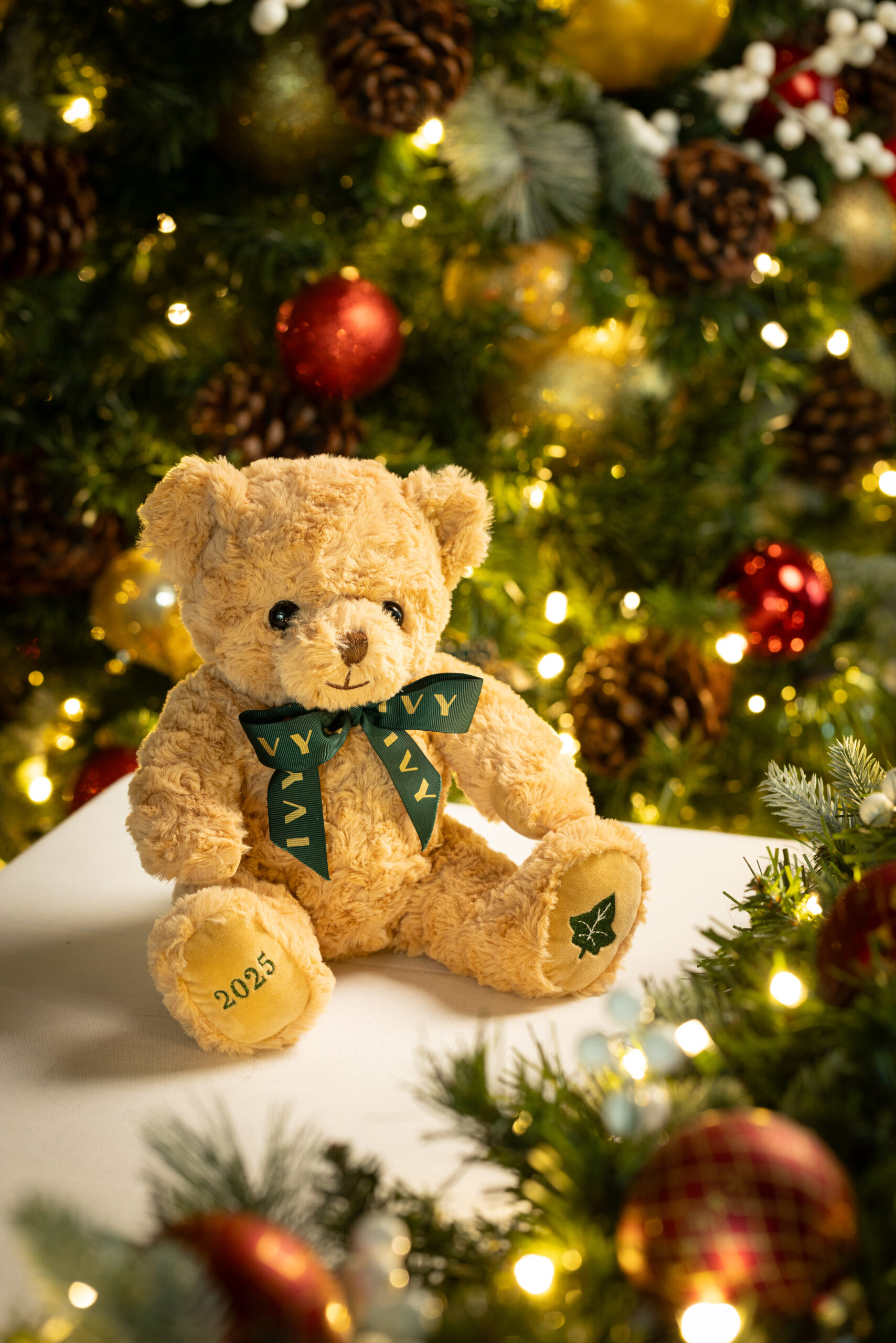 a teddy bear with a green bow around it saying the ivy, surrounded by christmas decorations