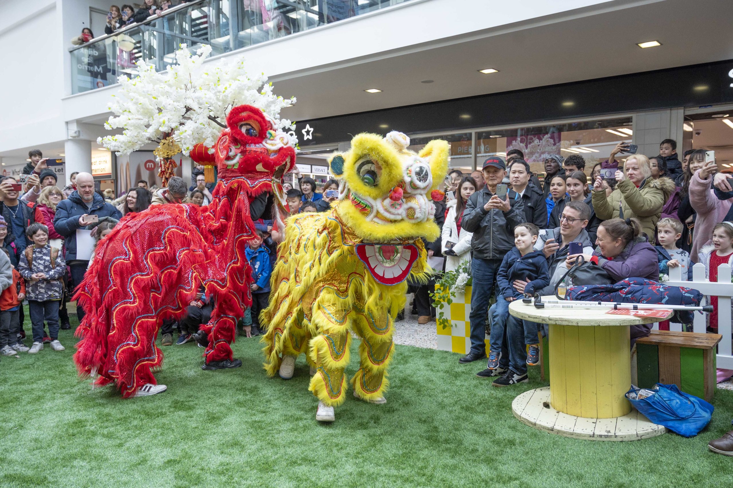 two chinese dragons performing in front of a large crowd