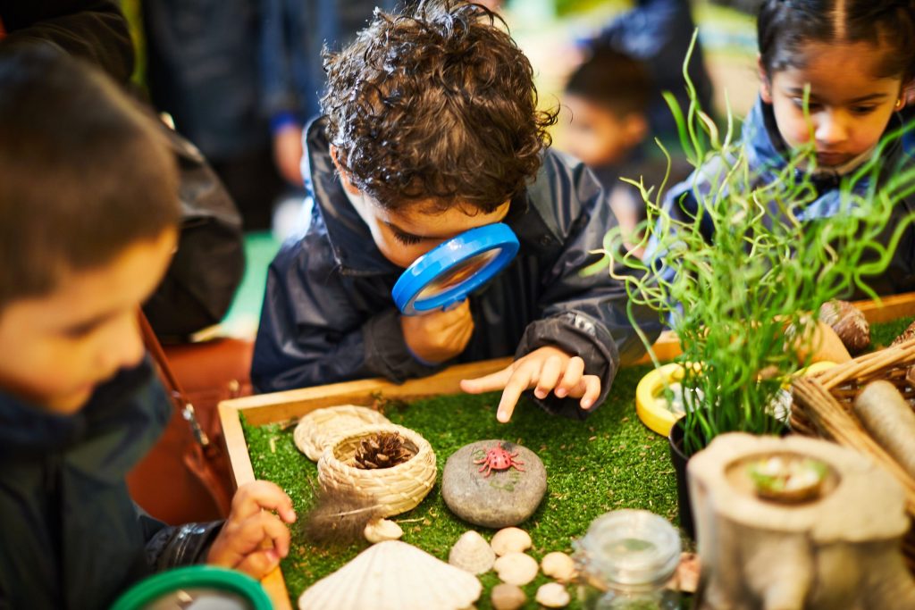 children with magnifying glasses looking at a table with grass and rocks on