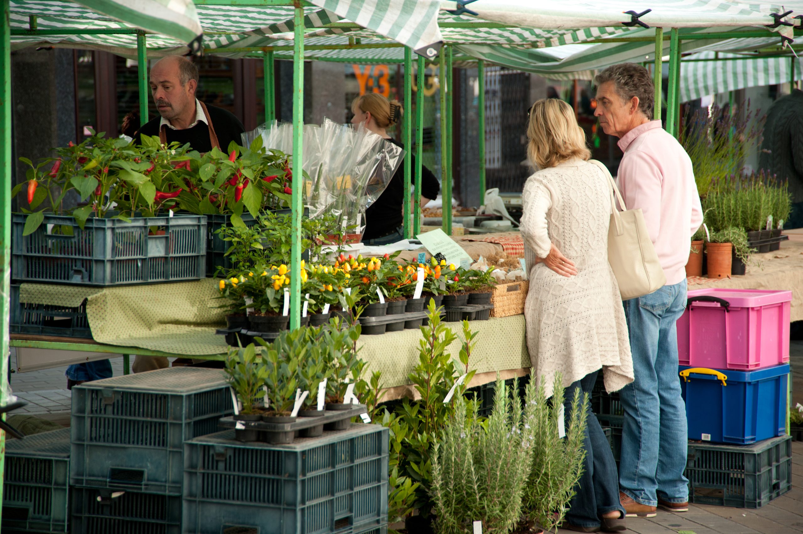 a market stall selling plants and flowers with two people looking