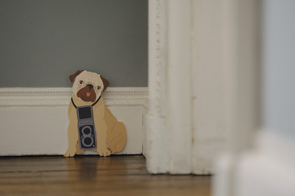 A 2D illustration of a pug with an old camera around its neck, placed on the floor balanced on a skirting board