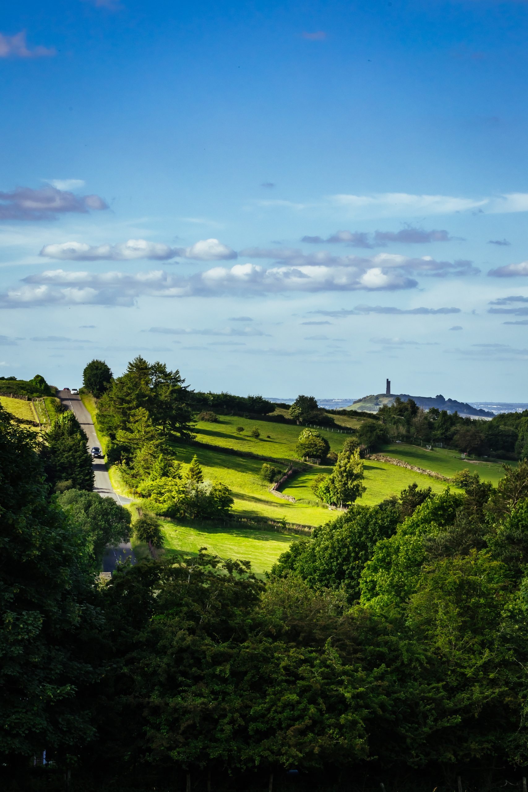 a long landscape view of green rolling hills with trees and a blue sky with white clouds