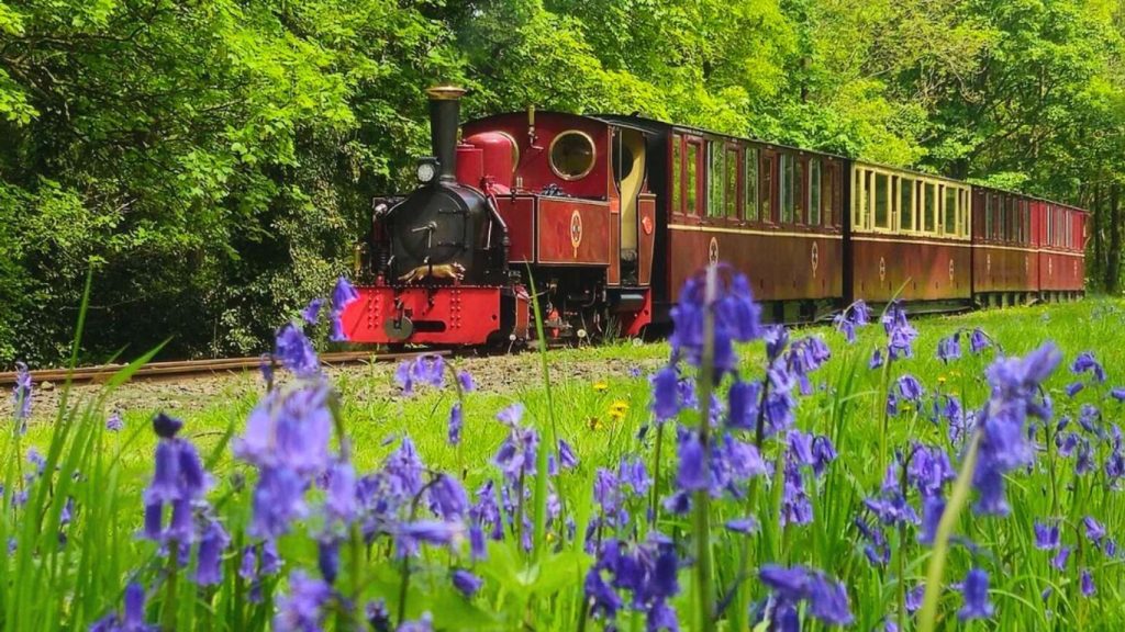 a bright red steam train on a track through a forest scene with purple flowers in the foreground
