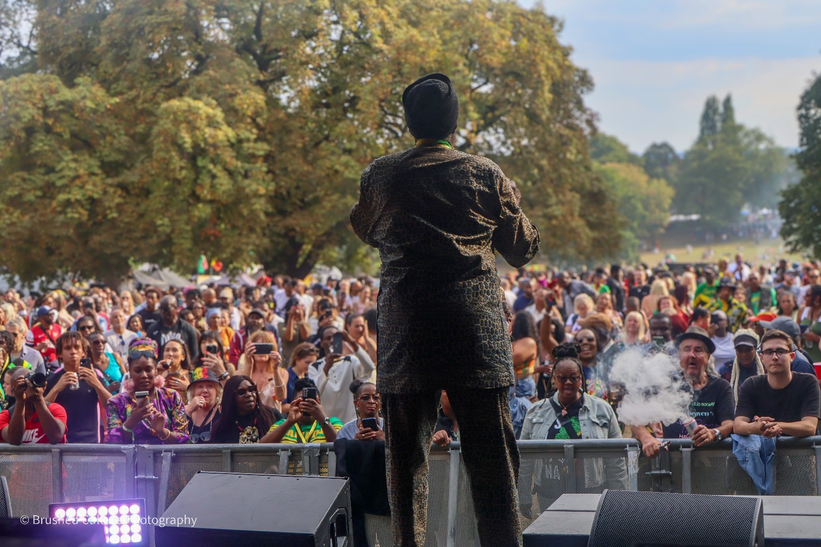a person on a stage looking out towards a large crowd in a park with trees and fields