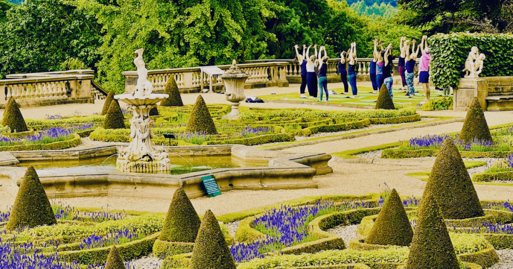 a manicured garden with flowering bushes on a stone terrace, with people in the background doing a yoga class