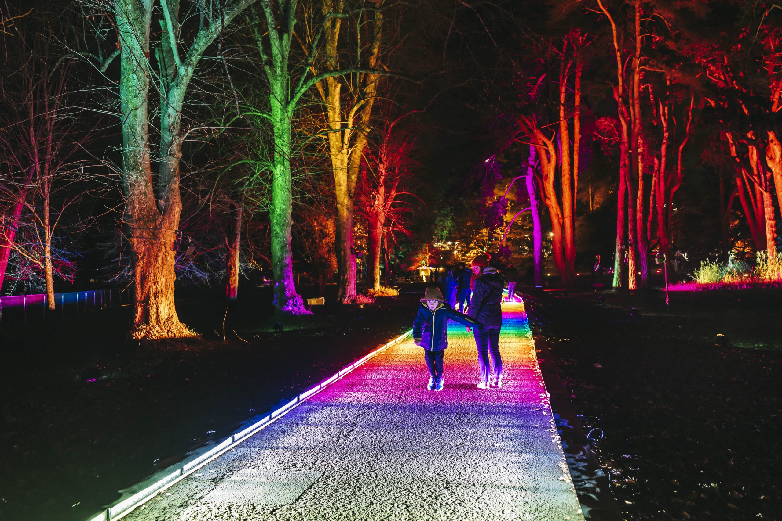 Children enjoying multi-coloured lights and trees at Northern Lights, Temple Newsam
